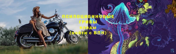 mdpv Алзамай