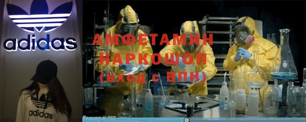 молекула духа Алексин