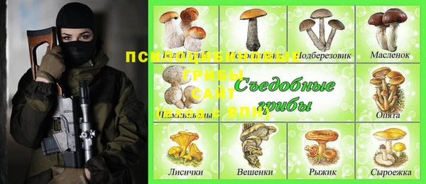 молекула духа Алексин