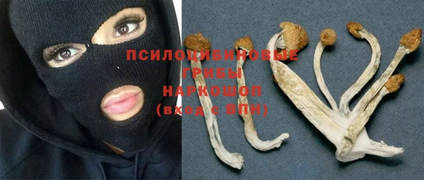 mdpv Алзамай