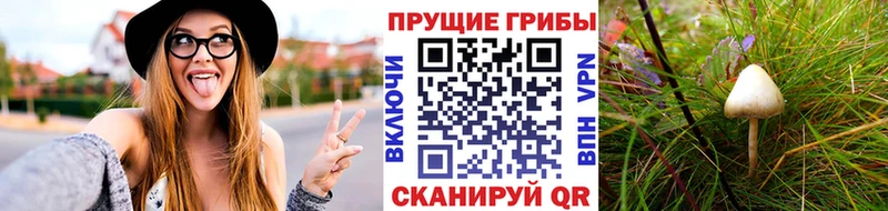 Галлюциногенные грибы Magic Shrooms  наркота  Чадан 